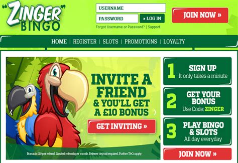 Zinger bingo casino download